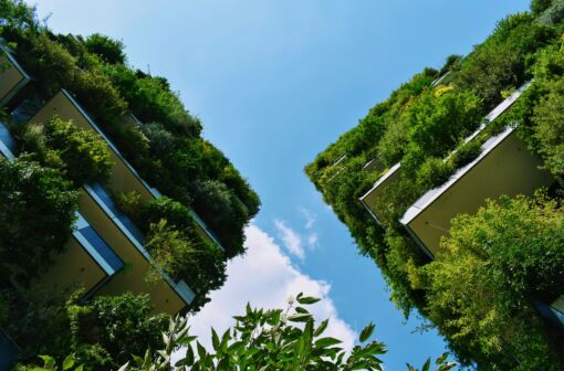 Green Public Procurement 101: Building the Future with Low-Carbon Materials