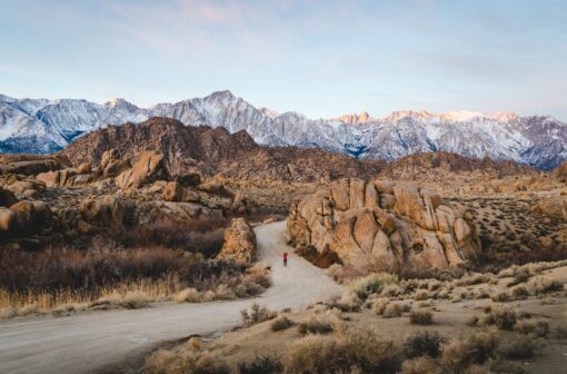 RGEI Forum on Biodiversity and Energy Revolution