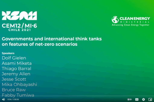 Governments and International Think-Tanks on Features of Net-Zero Scenarios