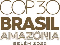 CEM at COP30