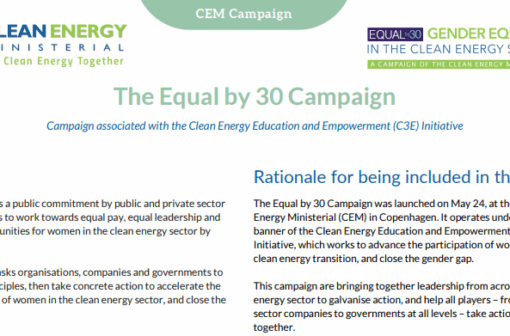 Equal by 30 Fact Sheet 2019