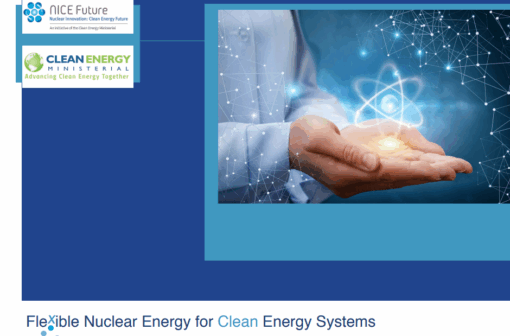 2020 Flexible Nuclear Energy Campaign booklet