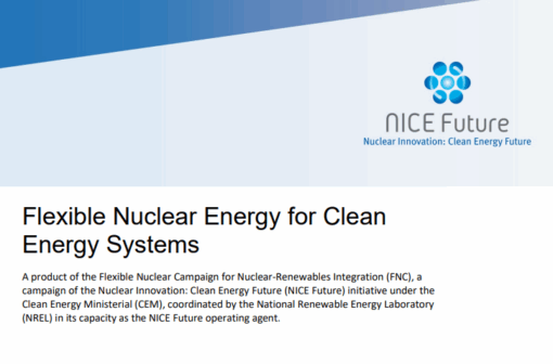 CEM Flexible Nuclear Energy for Clean Energy Systems