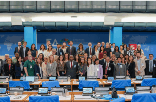 Sustainable bioenergy for climate and development goals