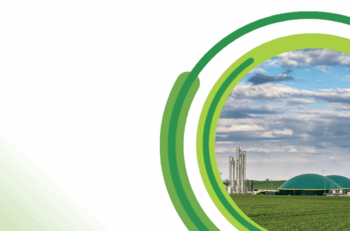 Policy Blueprint: Methodology and policy examples summary