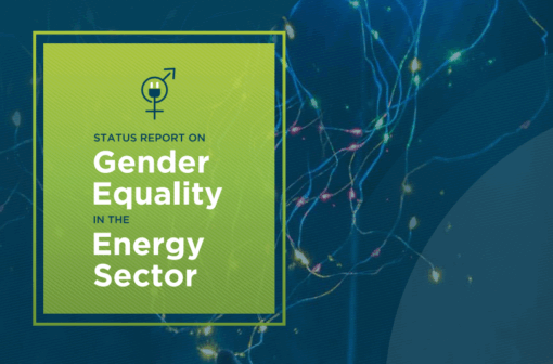 Status Report on Gender Equality in the Energy Sector
